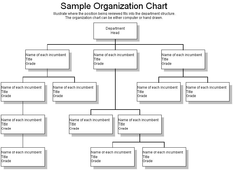 Corporate Organizational Chart Titles