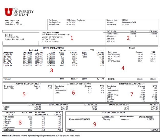 Paystub